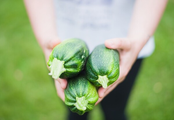 holding garden produce