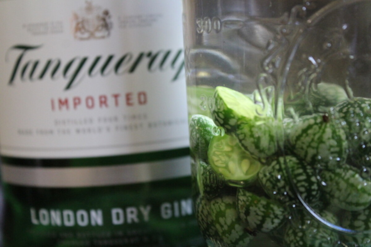 Homemade Cucamelon Gin infusing in a mason jar 