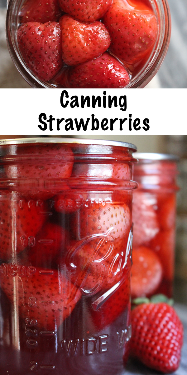 Canning Strawberries ~ How to Can Strawberries at Home ~ Whole Strawberries or Slices ~ Easy water bath canner recipe. #canning #strawberries #foodpreservation #homesteading #selfsufficiency #howto