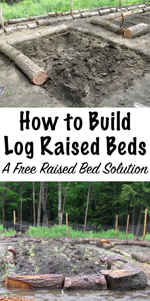 Log Raised Beds are an inexpensive raised bed solution with a lot of benefits for the soil ecology. #raisedbeds #gardening #organicgardening #foodgardening #howtogrow #vegetablegardening #gardeningtips #homesteading #homestead #selfreliant #raisedgarden