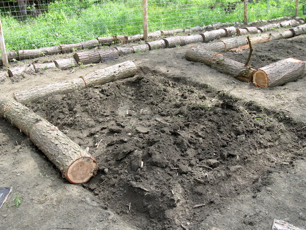 Building log raised beds