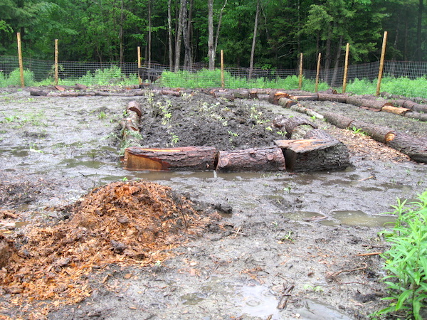 Cordwood raised beds to buffer garden flooding
