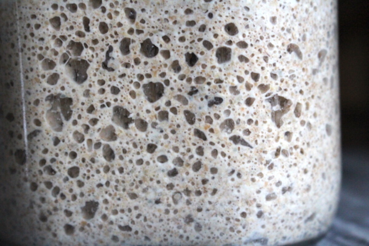 Fully active bubbling rye sourdough starter