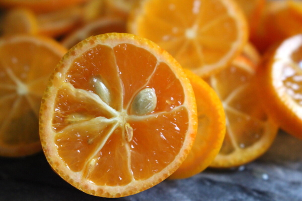 large kumquat seeds inside the fruit need to be removed for kumquat jam