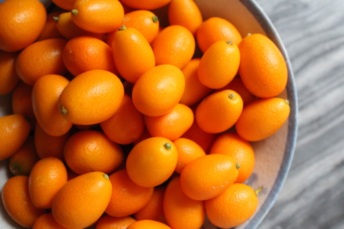 Bowl of kumquats for kumquat jam