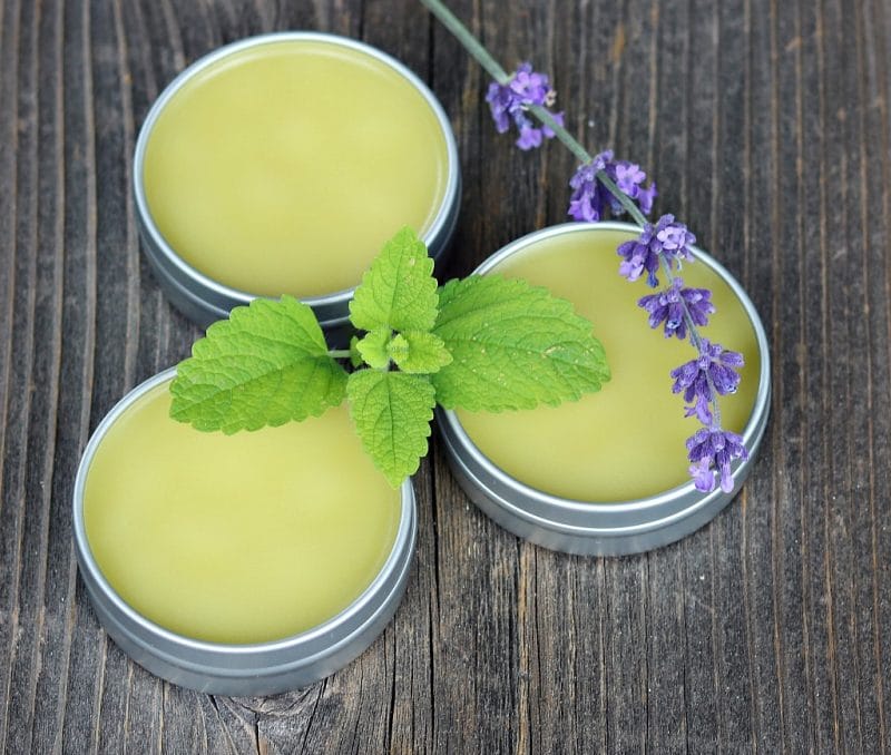 Herbal No Bug Balm with Lemon Balm from Grow Forage Cook Ferment