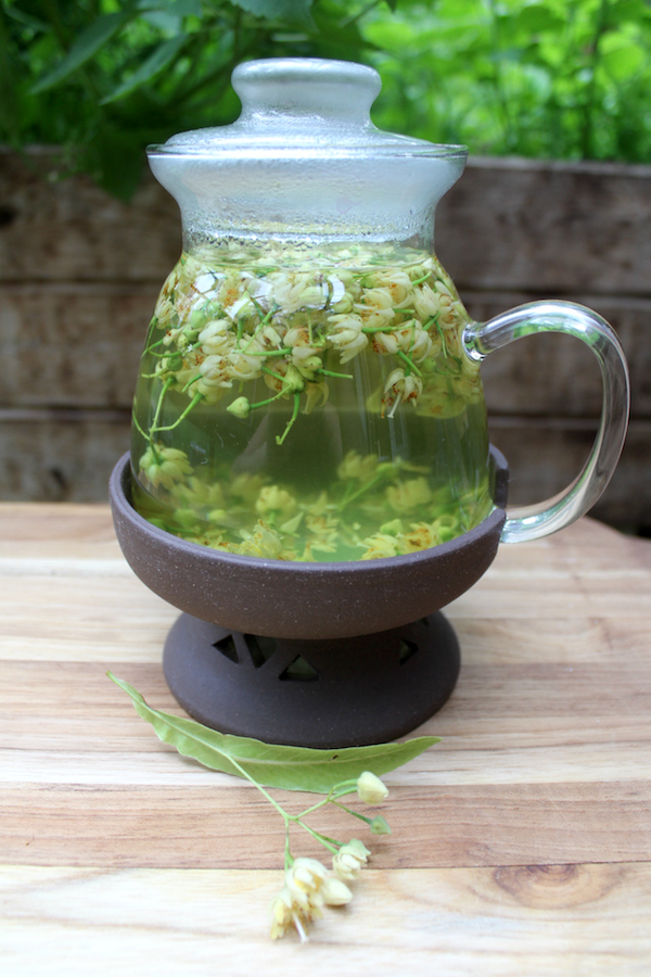 Linden flower Tea