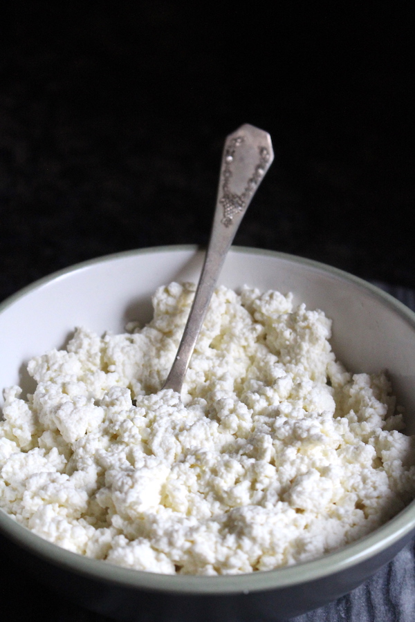 homemade farmer's cheese