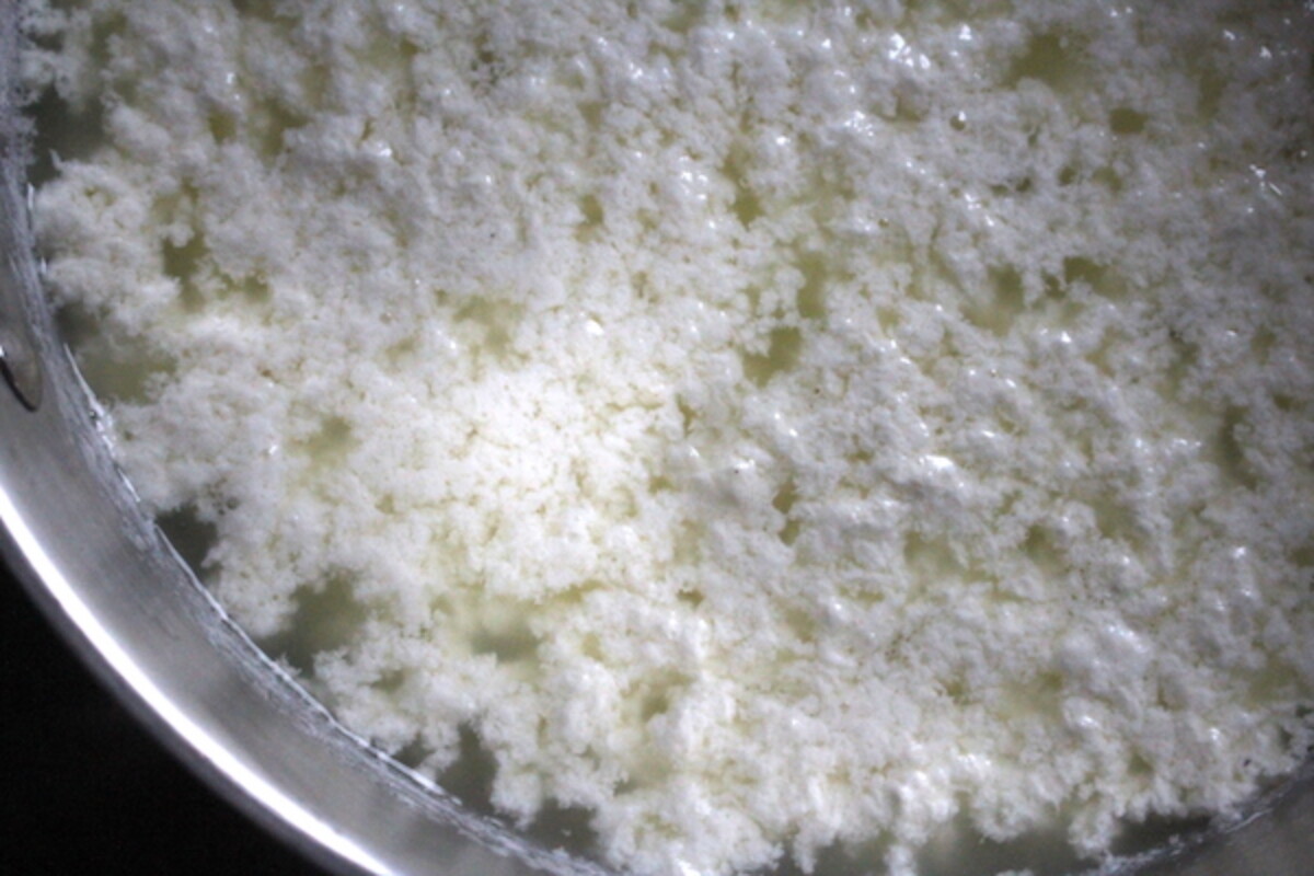 farmer's cheese forming curds