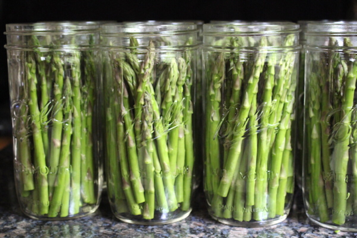 Canning Asparagus using the Raw Pack Method for Pressure Canning