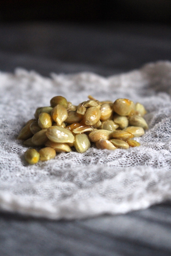 Natural Citrus Seed Pectin for Canning