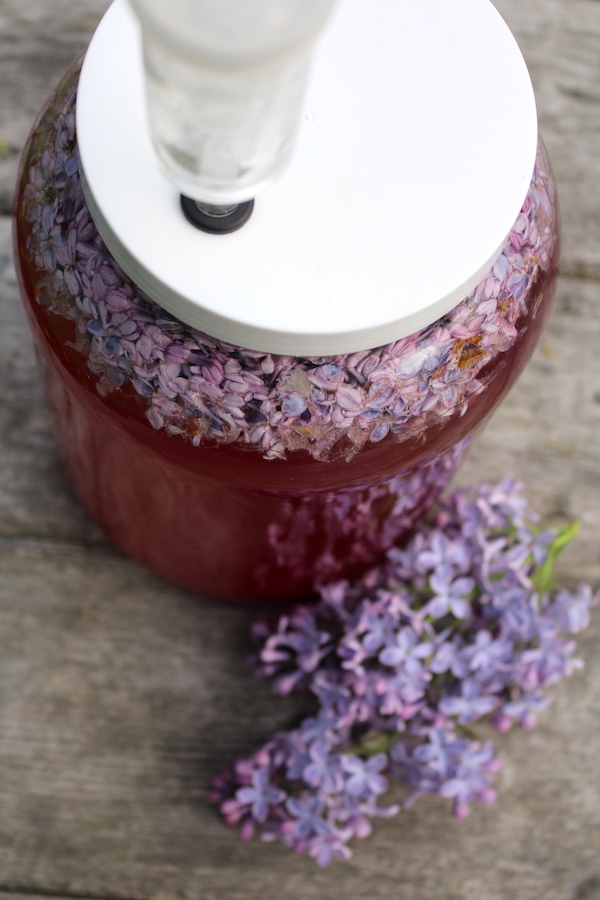 homemade lilac wine brewing in primary with the blossoms still in the wine