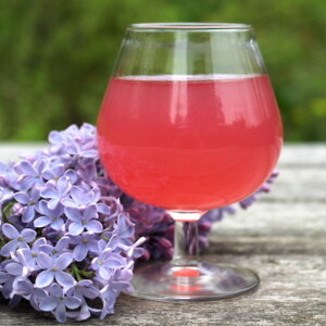 Homemade Lilac wine in a glass
