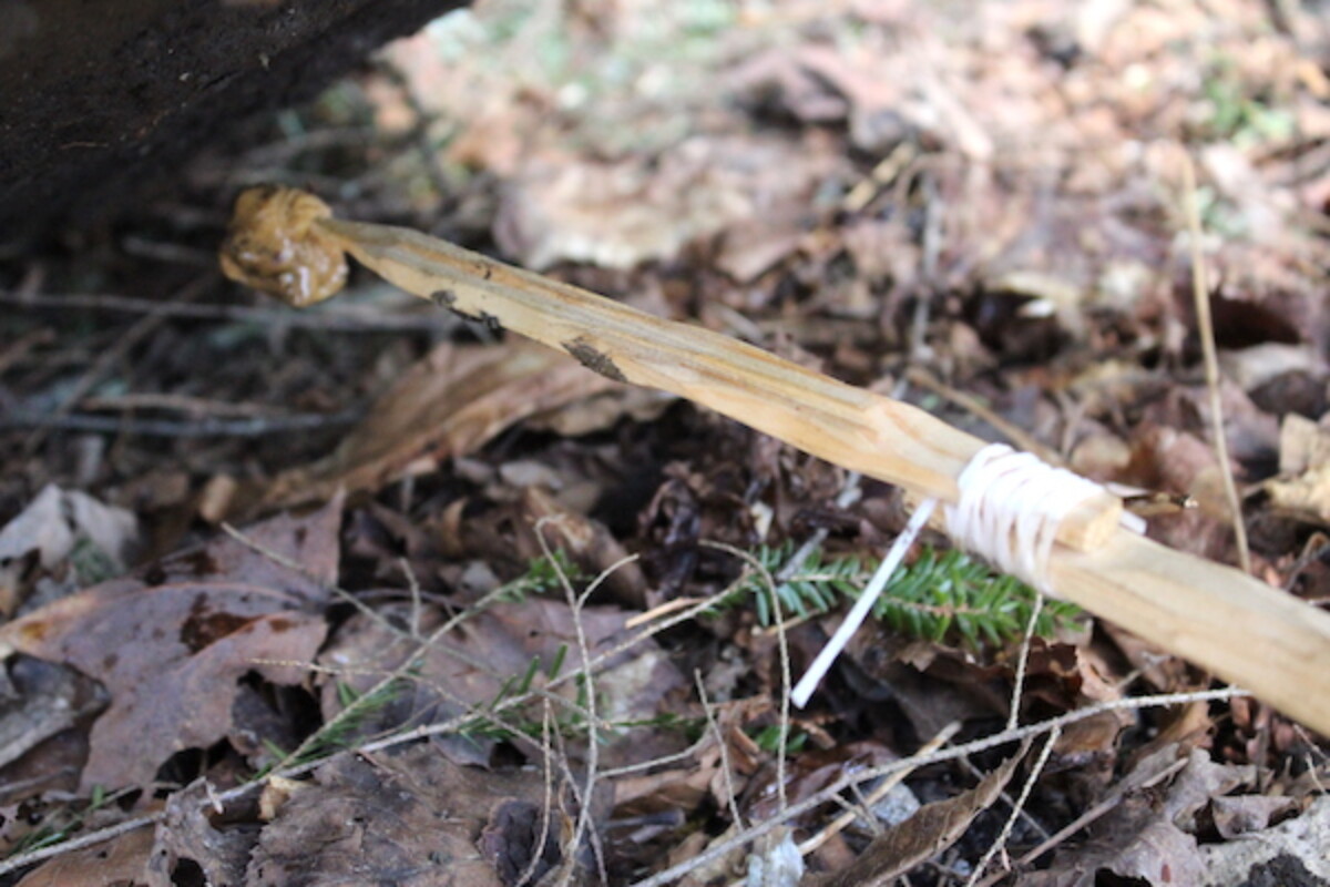 Bait Extension Stick for deadfall trap