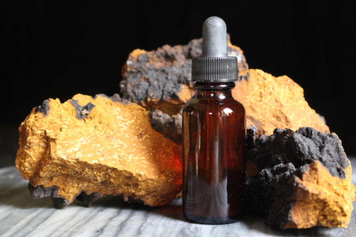 Chaga tincture in an amber dropper bottle next to hunks of dried chaga mushroom.
