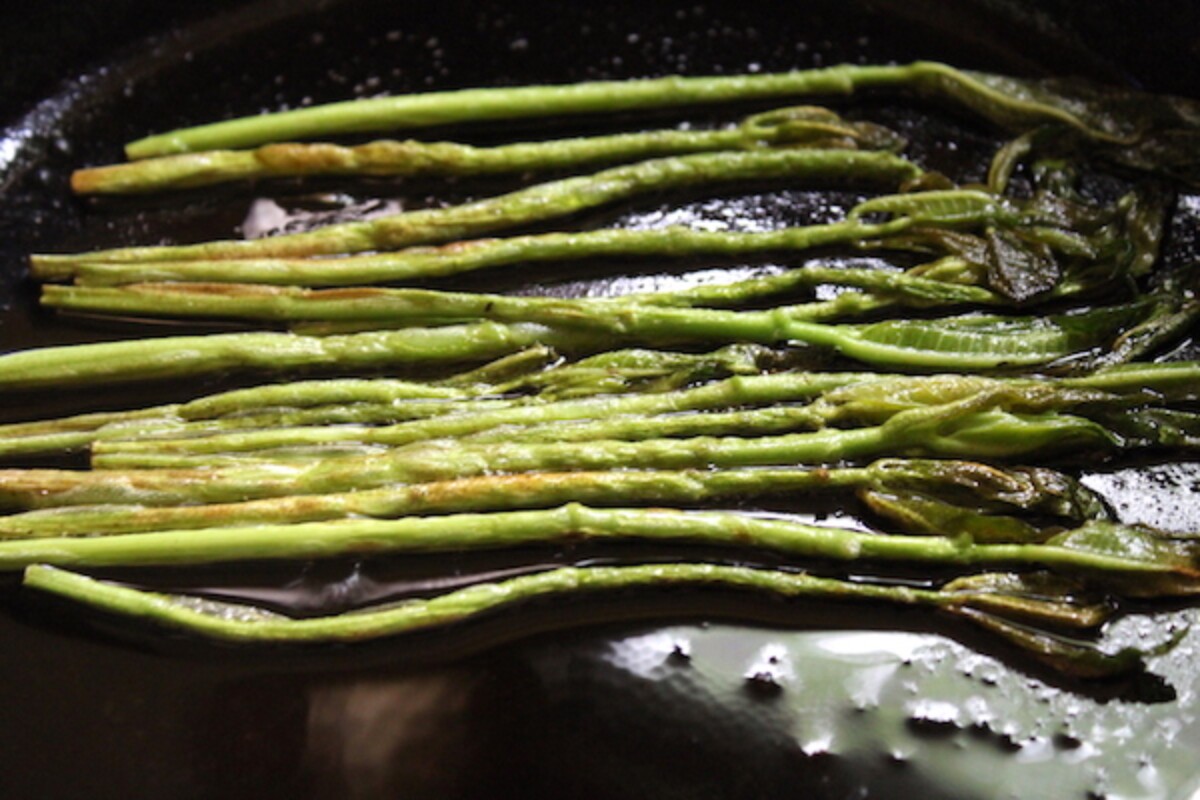 Cooking Milkweed Shoots