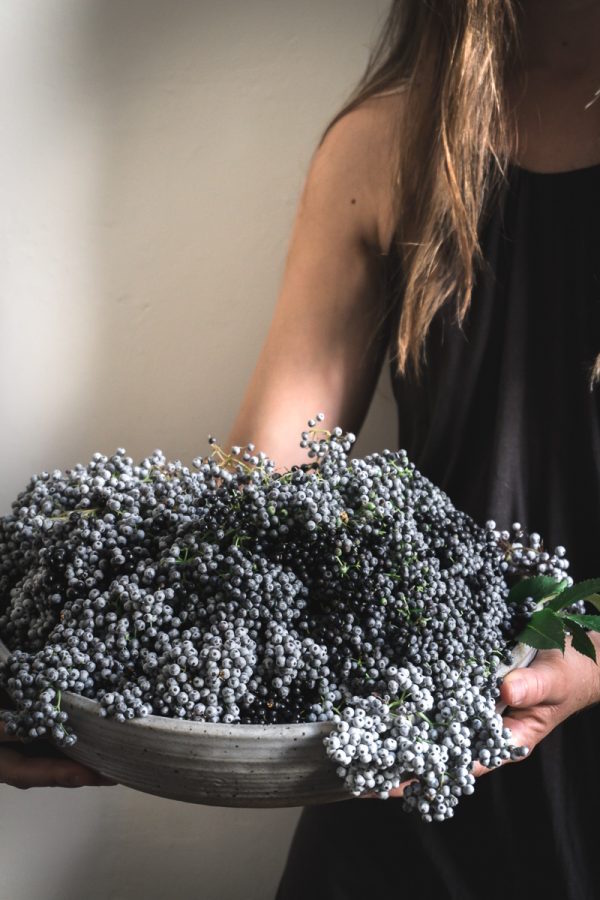Wild Foraged Elderberries