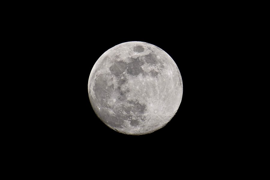 A full moon ~ An indicator when you're gardening by the moon