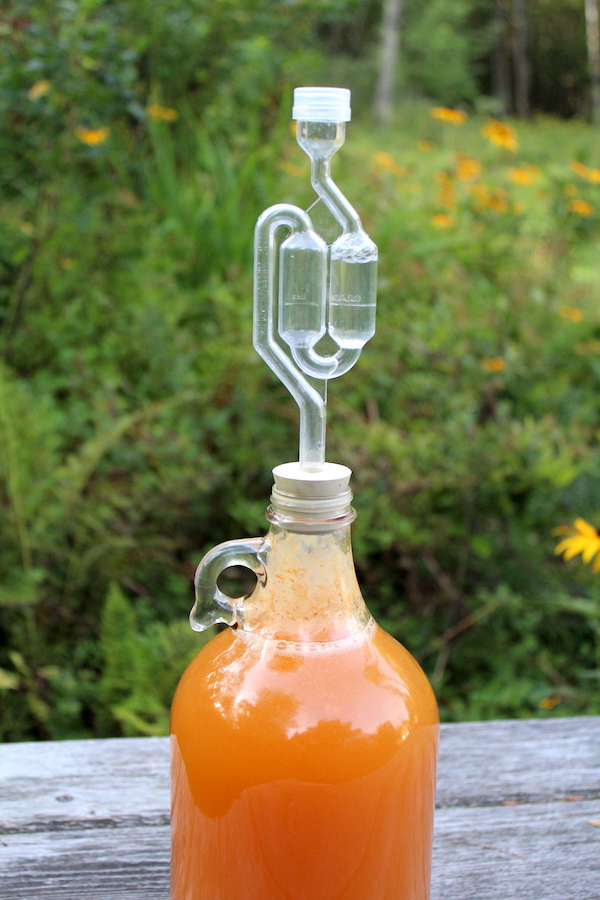 Homemade Hard Cider