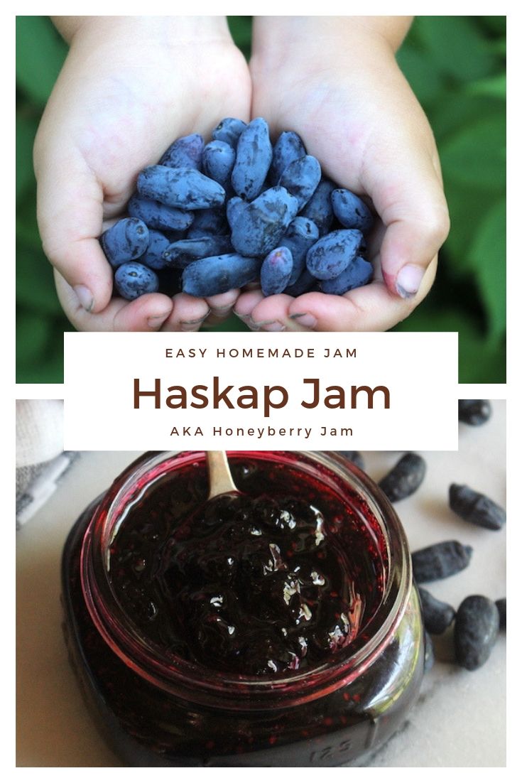 Homemade Haskap Jam (Honeyberry Jam) ~ Honeyberries are tasty fruits that come from a perennial plant in the honeysuckle family. They taste like a cross between blueberries and grapes, and make a lovely sweet/tart jam. #haskap #honeyberry # #jamrecipes #jam #canning #foodpreservation #preservingfood #homestead #selfreliant #selfsufficiency #homesteading