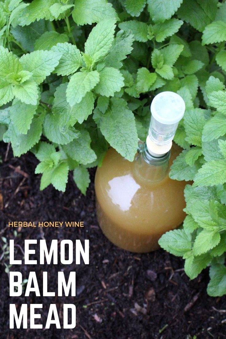 Homemade Lemon Balm Mead (Honey Wine) ~ This simple herbal honey wine is the perfect way to use lemon balm. An easy mead recipe that requires minimal eqiupment, you'll be glad you preserved lemon balm with in a homemade wine. #lemonbalm #lemonbalmrecipes #mead #meadrecipe #homebrew #honeywine #fermentation #fermenteddrinks
