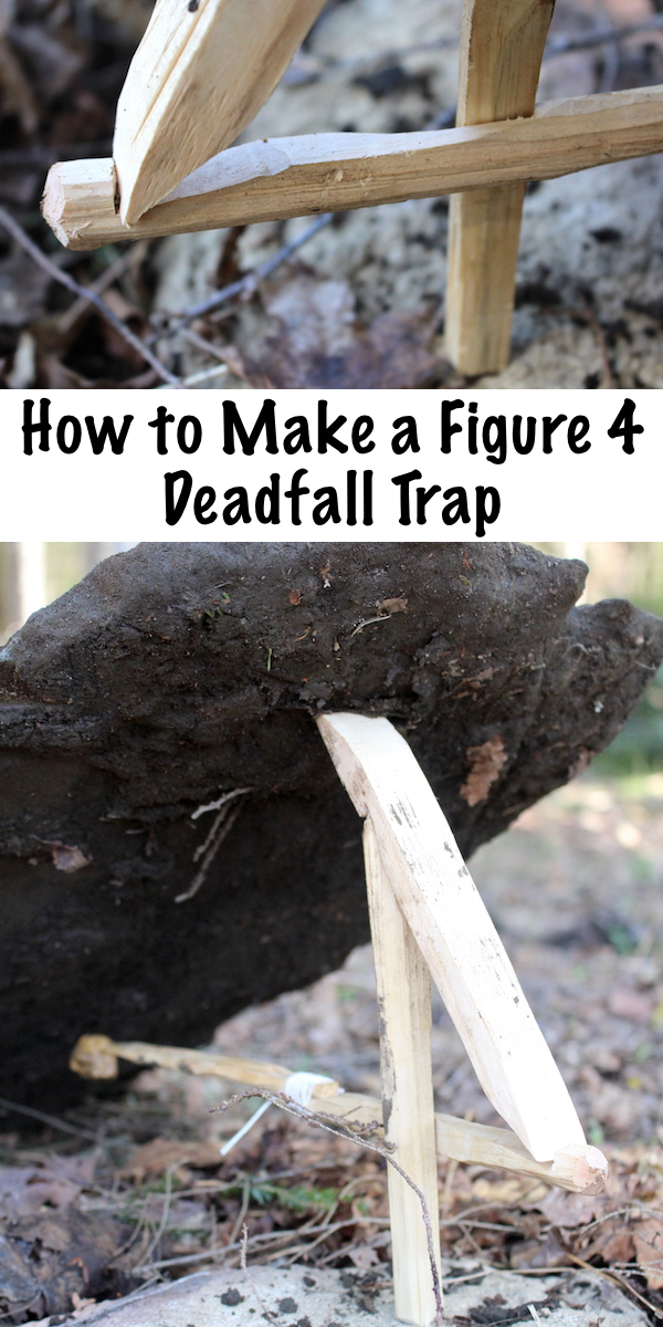 How to Make a Figure 4 Deadfall Trap ~ This simple primitive trap can be made in under an hour with a few sticks and a sharp knife. Trapping is an essential skill for backwoods bushcraft survival, and this is one of the simplest types of trap. #bushcraft #survival #survivalskills