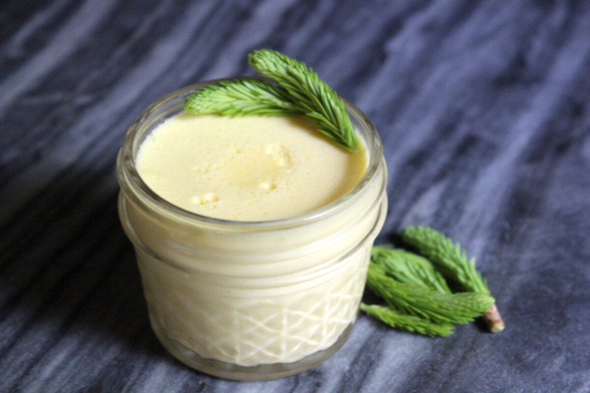 Spruce tip posset (eggless custard)