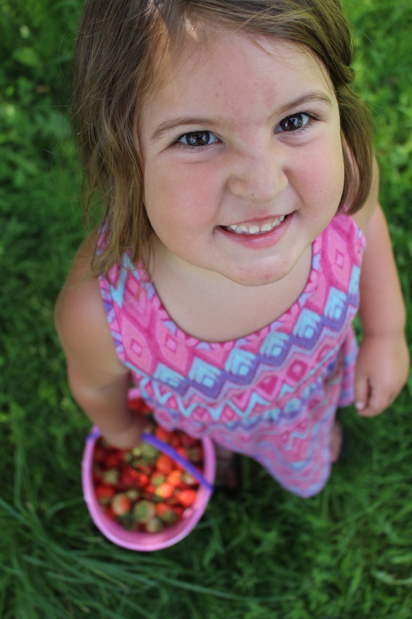 Child holding bucket of strawberries destined to become strawberry jelly