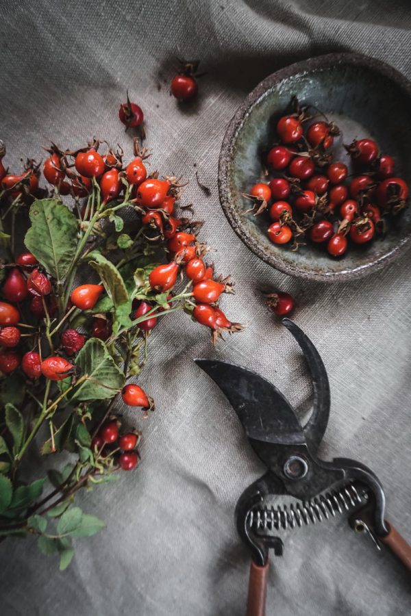 branches of rose hips on table with pruners