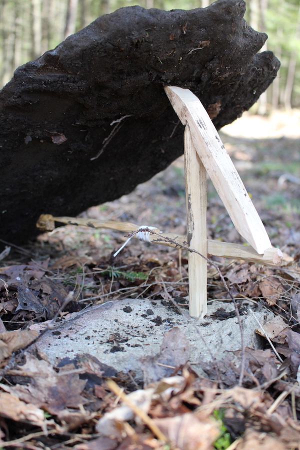 How to make a figure 4 deadfall trap (in about 30 minutes)