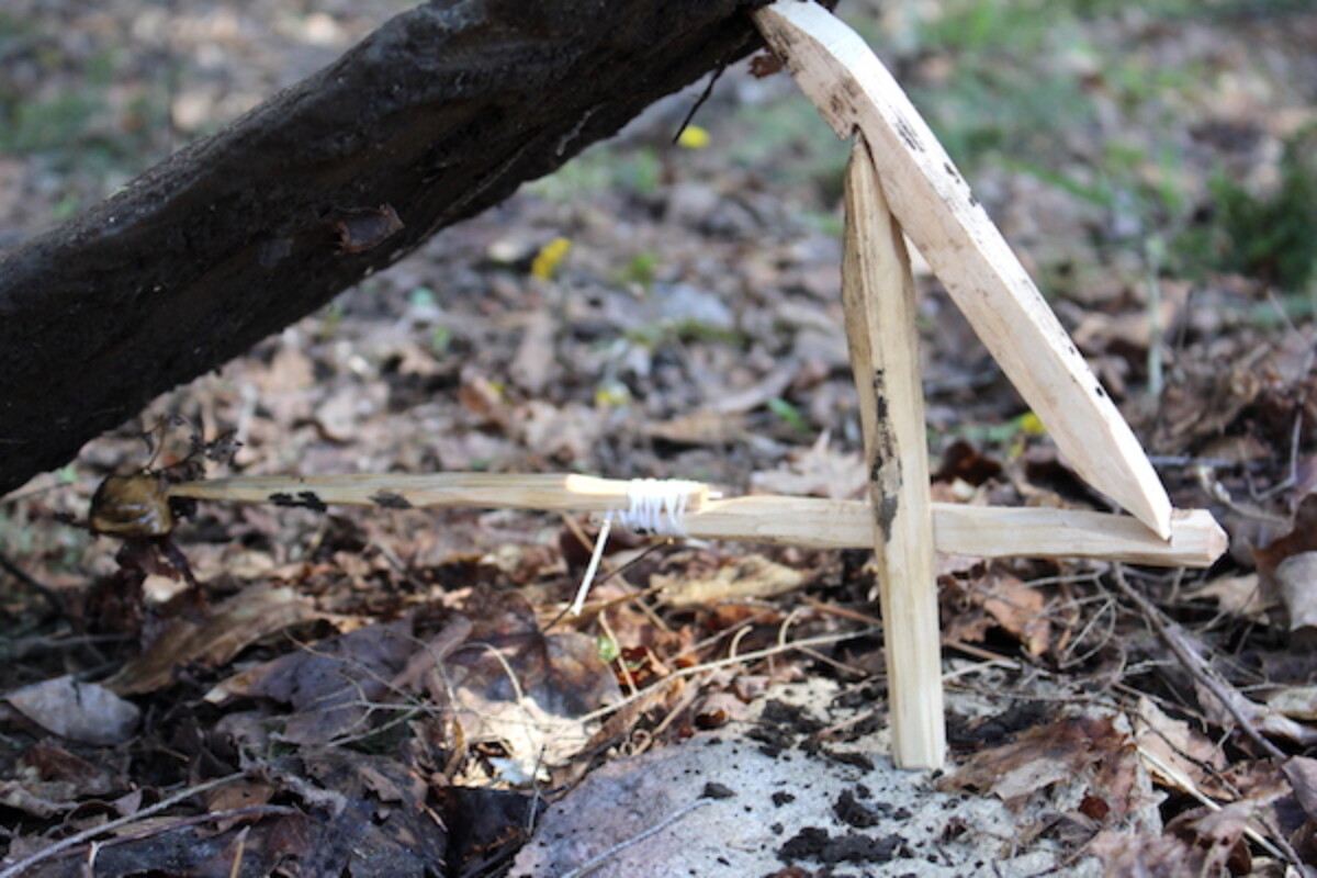 figure 4 deadfall trap set under a large rock