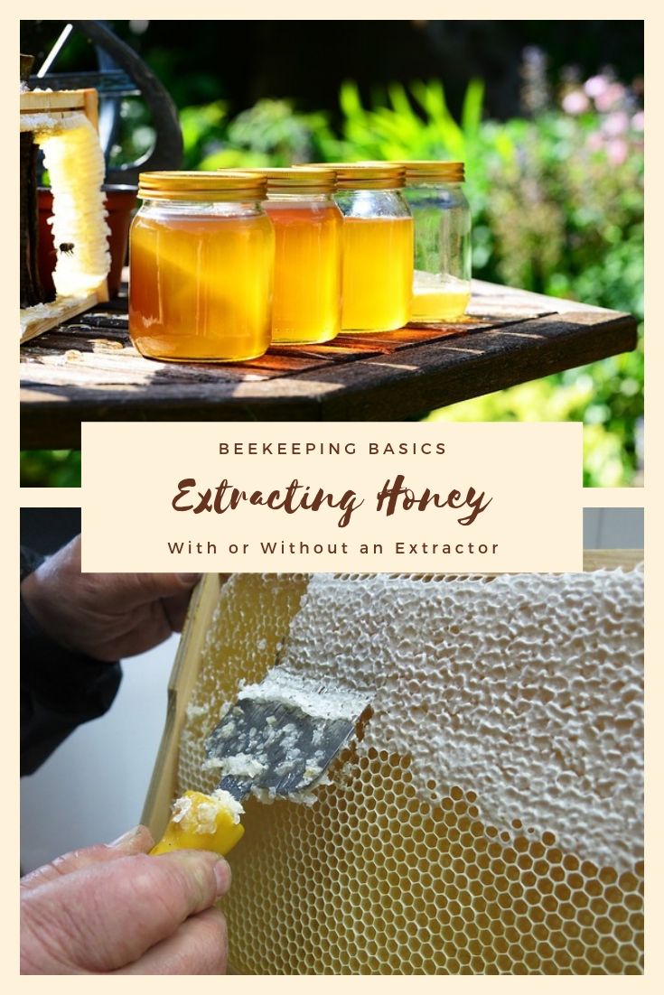 extract honey from comb how to (With Without & Extractor) Comb From Extracting an Honey