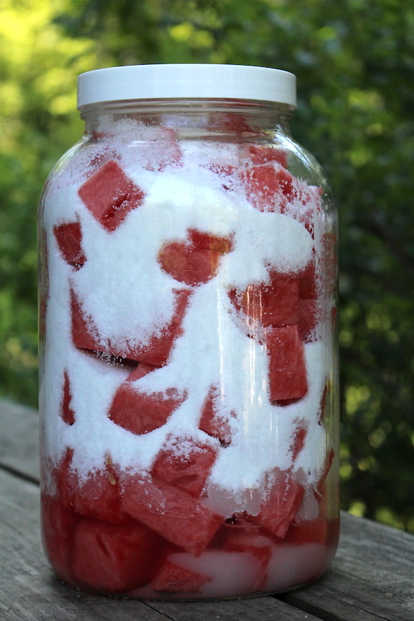 Adding Sugar to Watermelon Wine