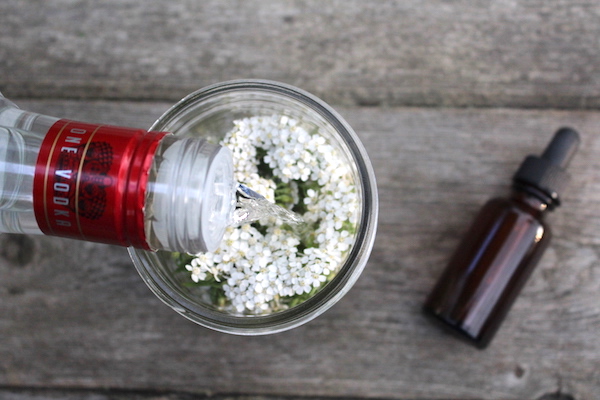 Adding vodka to a homemade yarrow extract