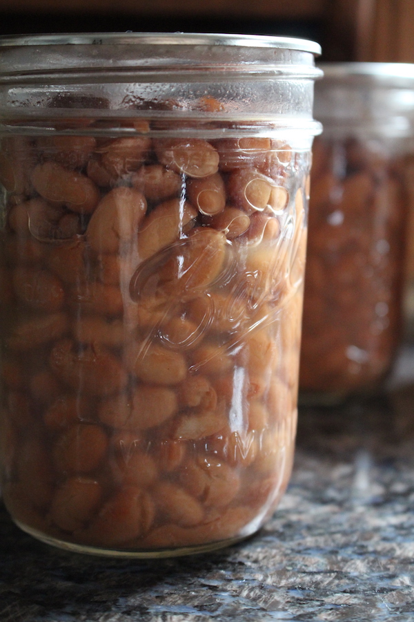 Canning Beans at Home ~ Safely canning beans at home is a tasty way to save time on meal prep. Canning dry beans during the winter months means you can enjoy homemade beans any time of the year with minimal prep, and better yet without heating up the house.