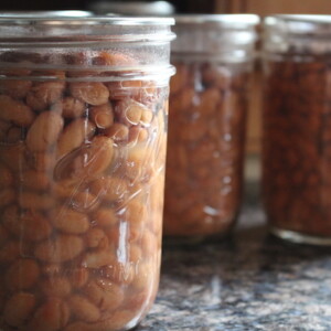Home Canned Pinto Beans made with a safe pressure canner recipe for canning beans at home