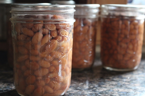 Home Canned Pinto Beans made with a safe pressure canner recipe for canning beans at home