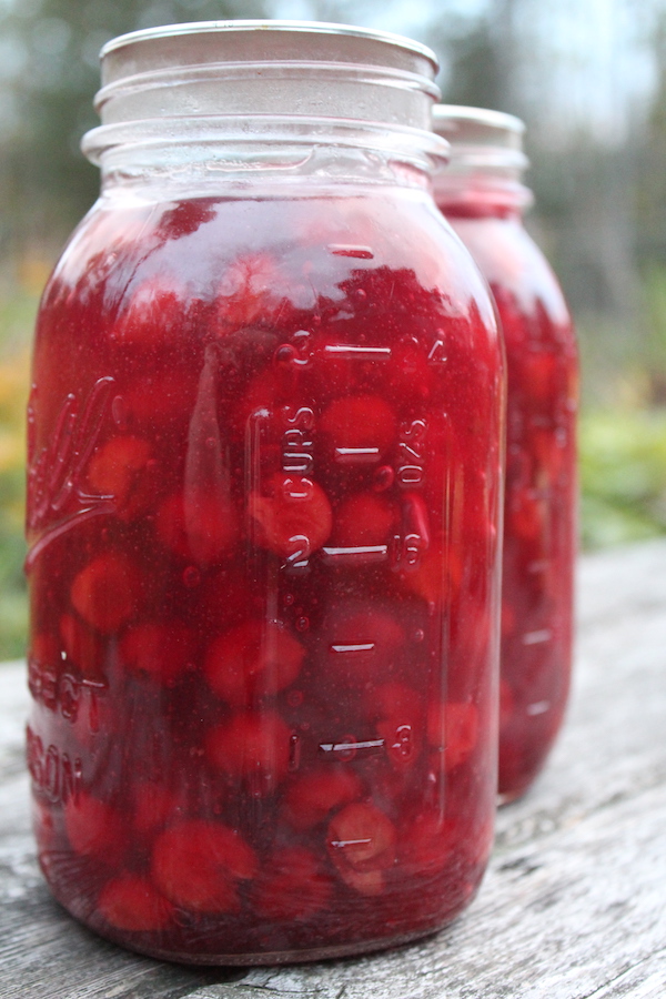 Home Canned Cherry Pie Filling