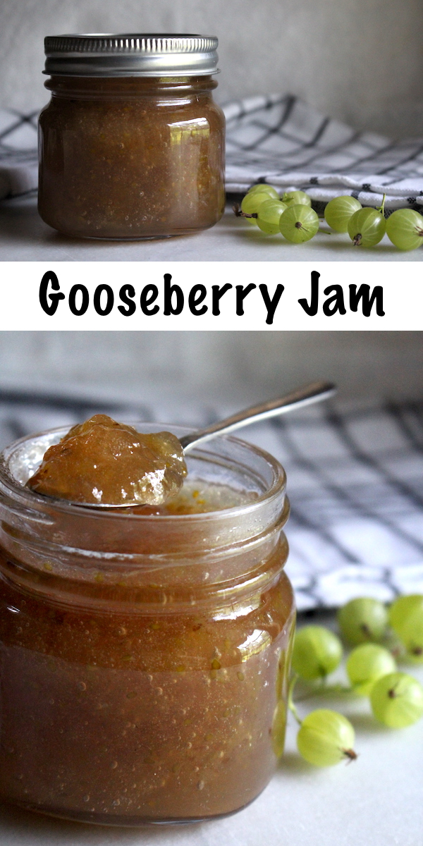 Homemade Gooseberry Jam Recipe ~ Gooseberries are an old fashioned fruit making a modern comeback at farmers market booths. For a unique flavor on your morning toast, try making your own gooseberry jam, just like grandma used to make. #gooseberry #jam #canning #jelly #traditionalskills #homesteading #canningseason