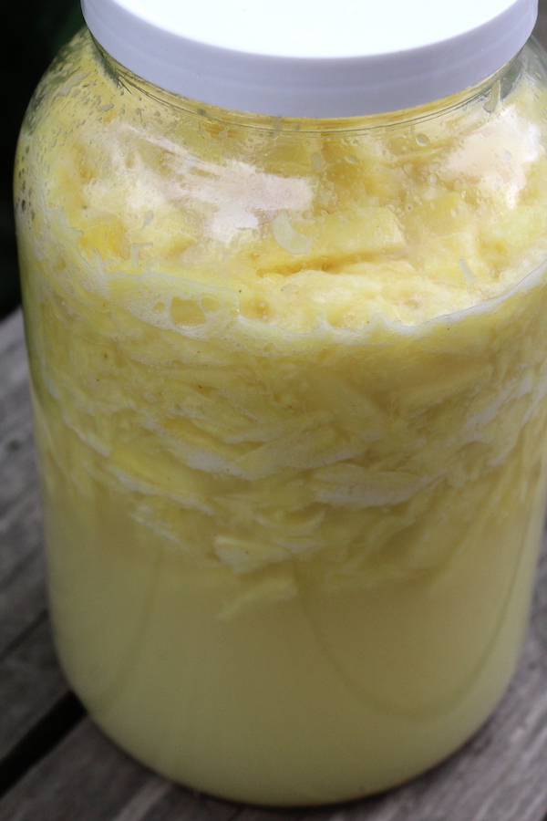 Pineapple Wine Fermenting