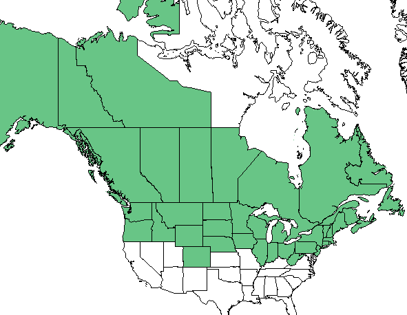 Rubus pubescens range map from Plants.USDA.Gov