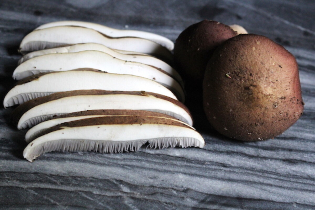 Sliced Wine Caps Prepared for Cooking