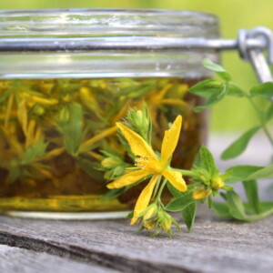 St. Johns Wort Oil