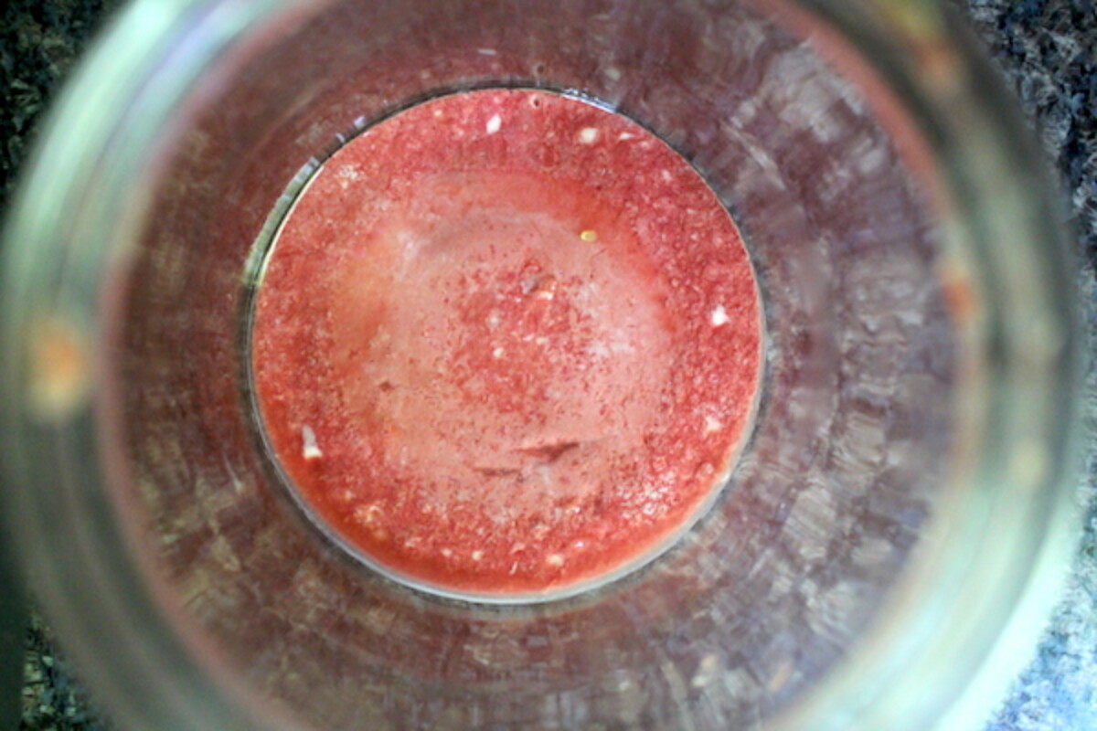 Watermelon Wine Yeast Cake