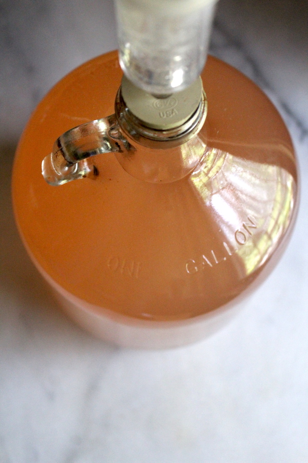 Homemade Watermelon Wine Fermenting in Secondary in a Narrow Neck Carboy