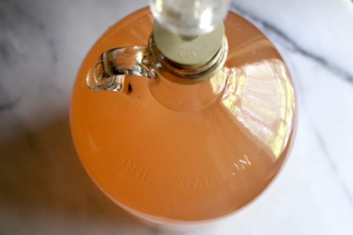 Homemade Watermelon Wine