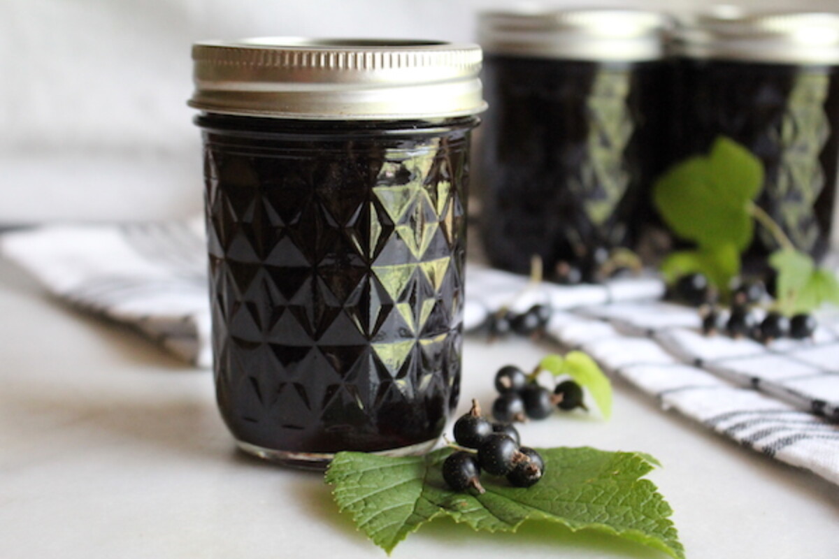 Homemade Blackcurrant Jelly ~ No pectin added recipe for canning