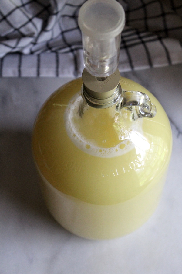 Homemade Pineapple Wine in secondary fermentation in a narrow neck carboy