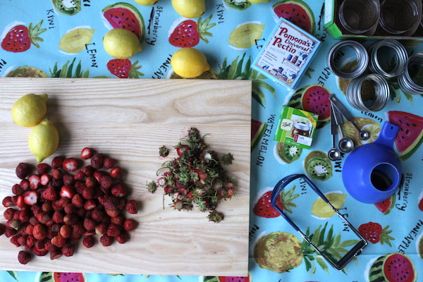 Prepping Strawberries for jam in an outdoor canning kitchen