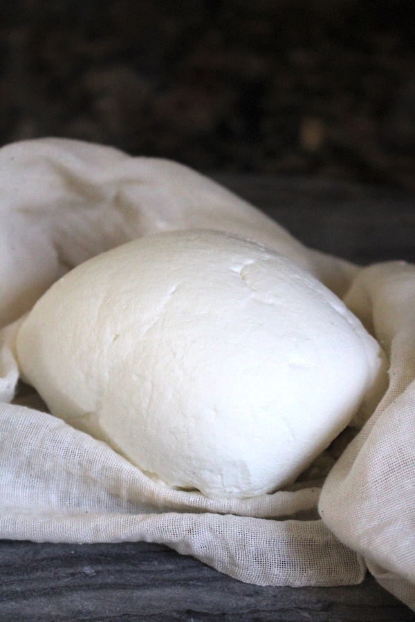 How to Make Homemade Yogurt Cheese ~ This tangy cultured homemade cheese is easy to make at home. Yogurt cheese is a soft and creamy spread that's the perfect dip or topping, and it retains all the probiotic health benefits of natural yogurt.